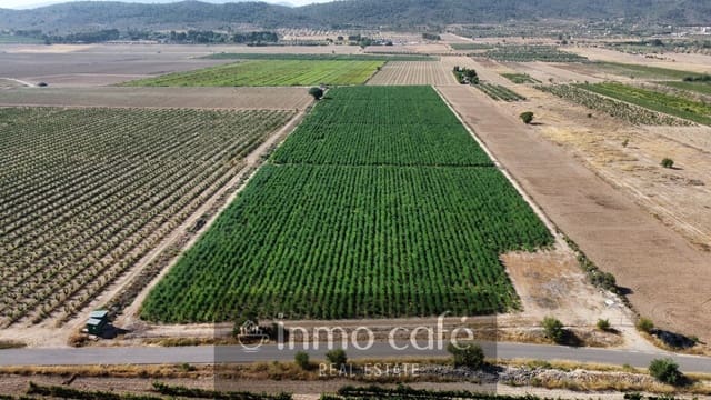Terreno/Finca Rústica en Villena en venta - 90.000 € (Ref: 9961030)