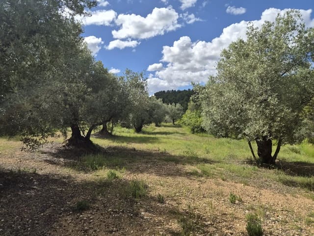 Grunde uden byggetilladelser til salg i La Fresneda - € 45.000 (Ref: 9860900)