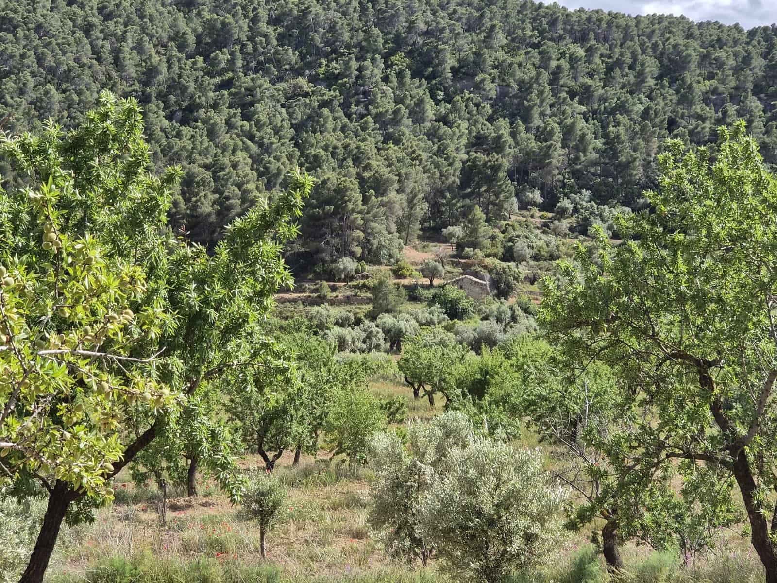 Undeveloped Land for sale in La Fresneda - € 45,000 (Ref: 9860900)