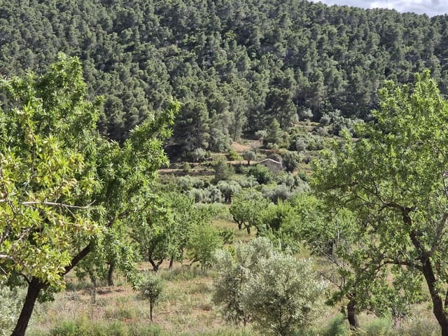Grunde uden byggetilladelser til salg i La Fresneda - € 45.000 (Ref: 9860900)