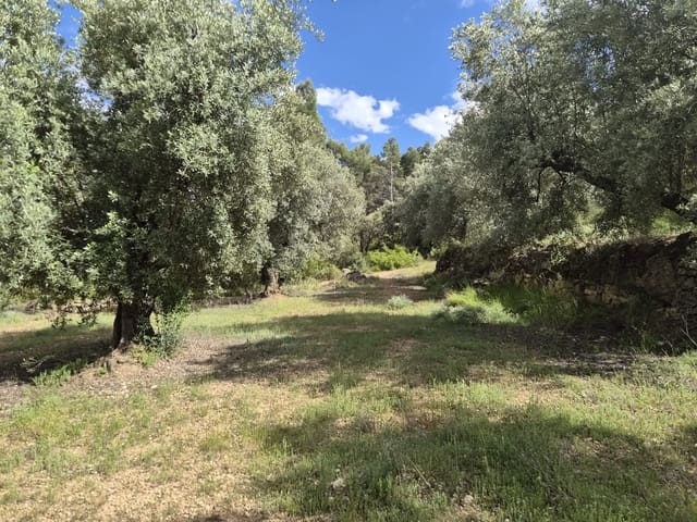 Grunde uden byggetilladelser til salg i La Fresneda - € 45.000 (Ref: 9865564)
