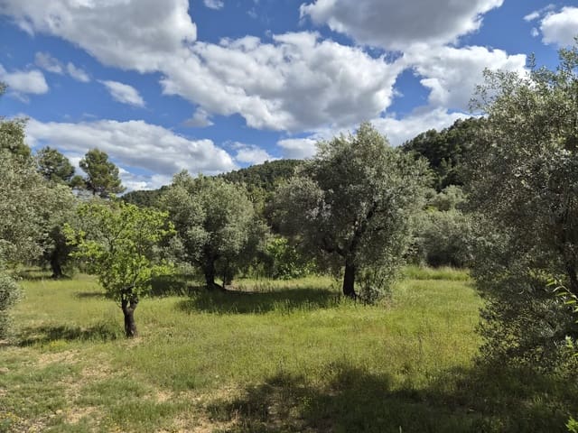 Grunde uden byggetilladelser til salg i La Fresneda - € 45.000 (Ref: 9865564)