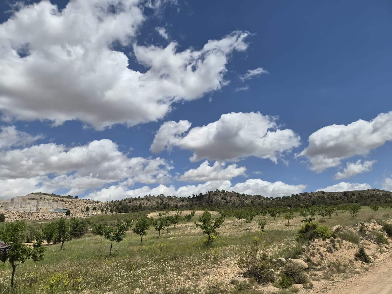 Grond te koop in Jumilla - € 29.000 (Ref: 9867294)