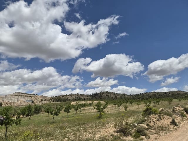 Grond te koop in Jumilla - € 29.000 (Ref: 9867294)
