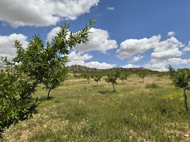 Grond te koop in Jumilla - € 29.000 (Ref: 9867294)
