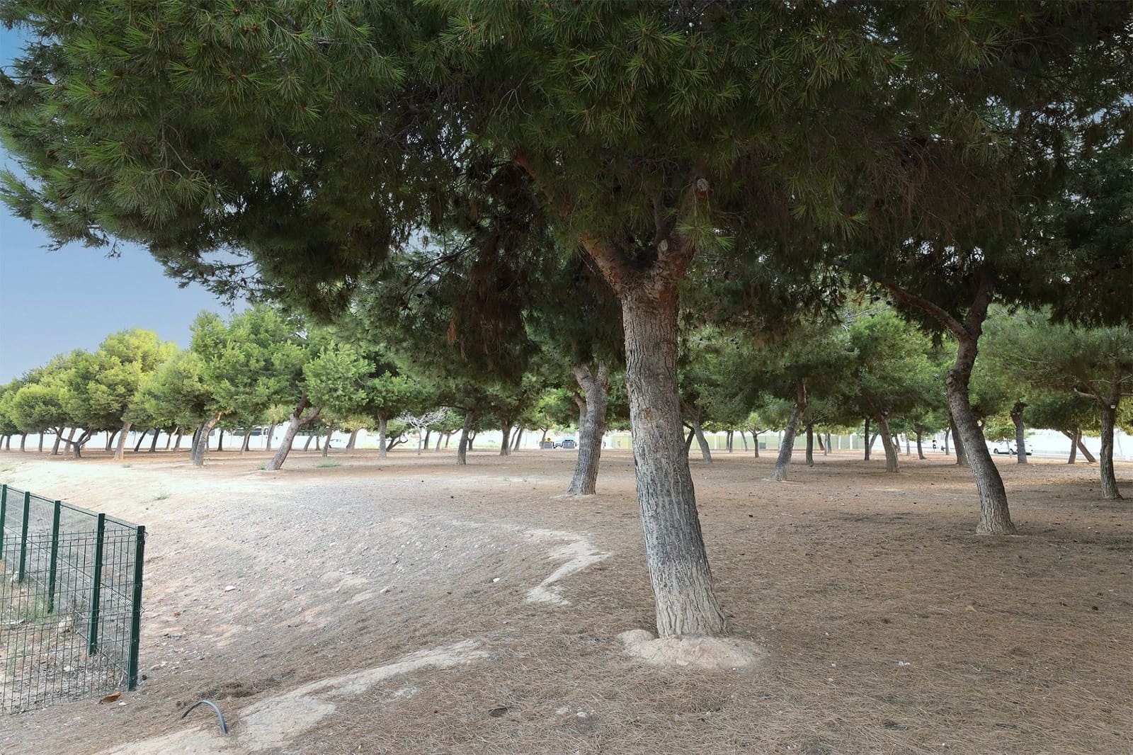 2 quarto Bungalow para venda em San Pedro del Pinatar com piscina garagem - 175 000 € (Ref: 10074760)