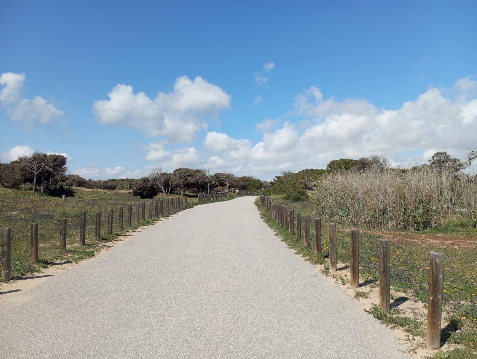 2 bedroom Bungalow for sale in Guardamar del Segura with pool - € 180,000 (Ref: 9669744)