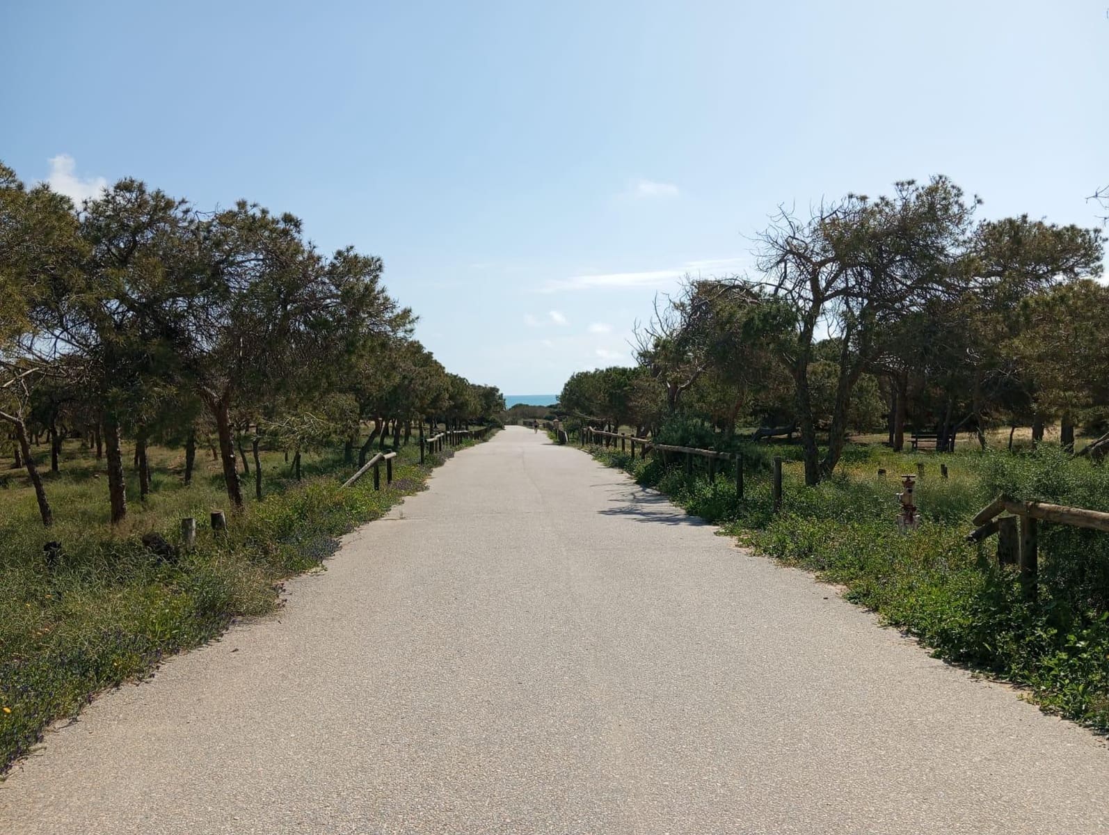 2 bedroom Bungalow for sale in Guardamar del Segura with pool - € 180,000 (Ref: 9669744)