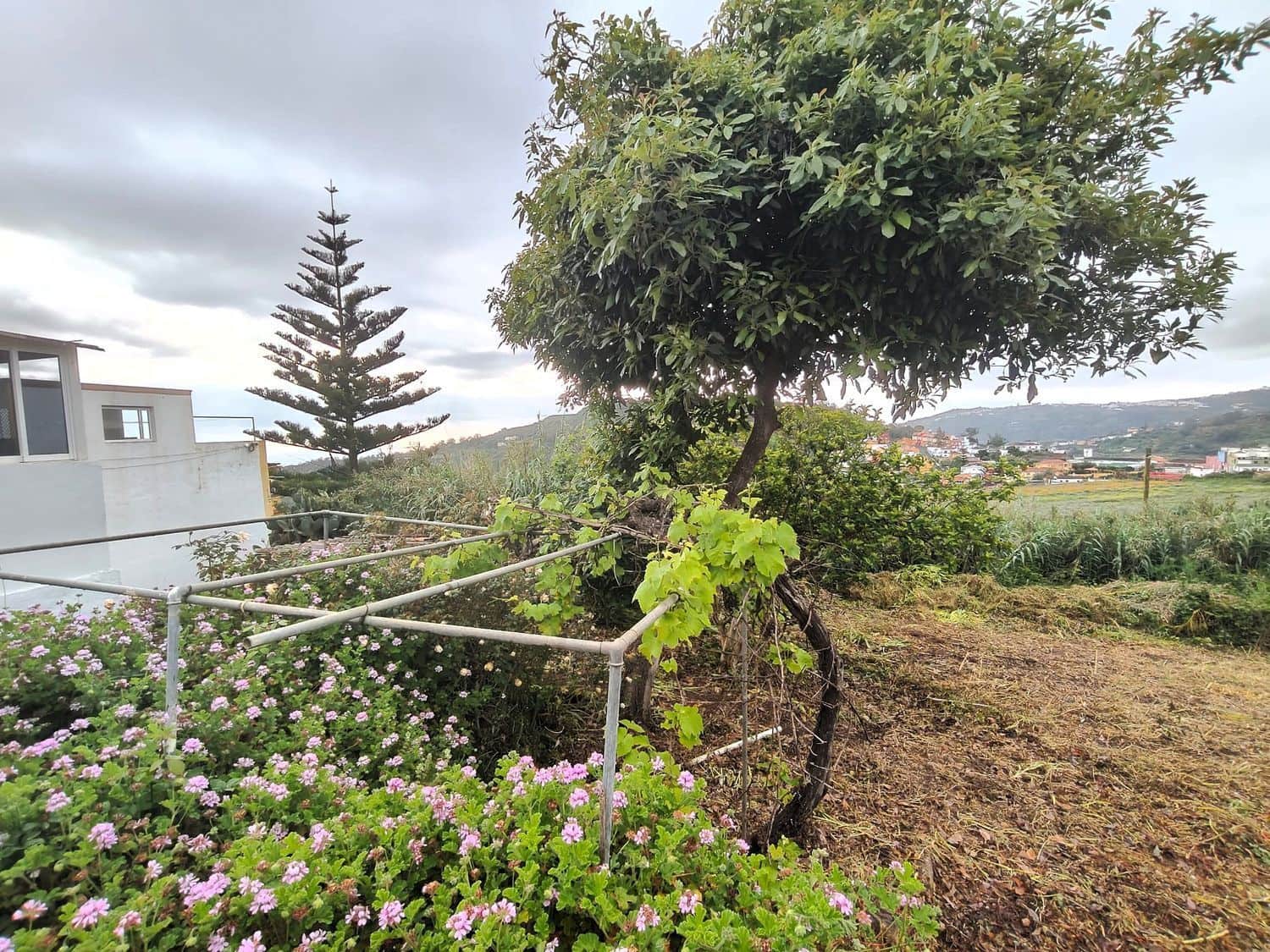 2 chambre Finca/Maison de Campagne à vendre à Arucas - 180 000 € (Ref: 10109780)