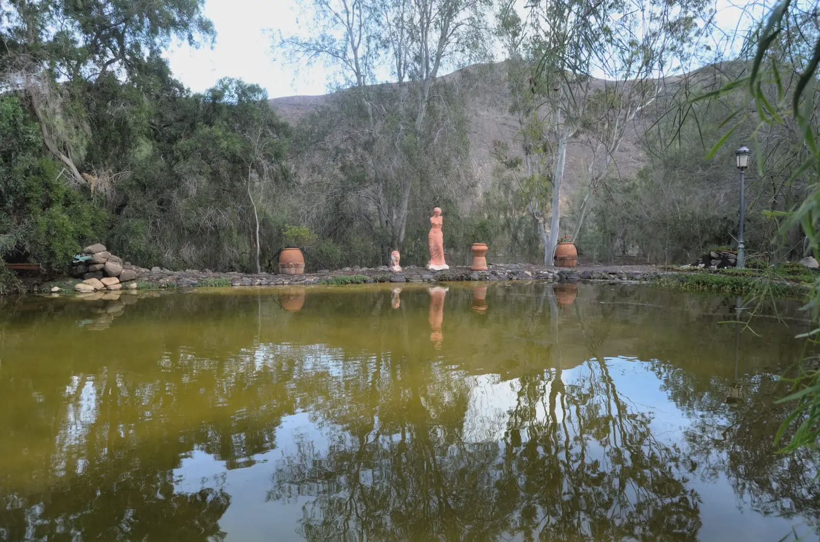 5 soveværelse Finca/Landehus til salg i Pajara med swimmingpool garage - € 1.299.000 (Ref: 9759327)