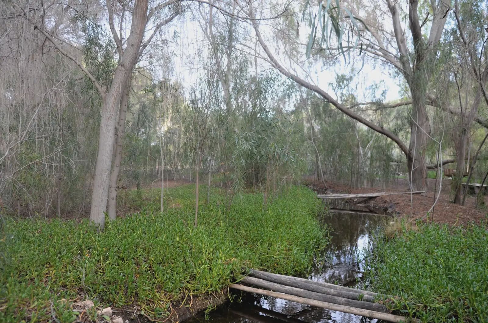 5 soveværelse Finca/Landehus til salg i Pajara med swimmingpool garage - € 1.299.000 (Ref: 9759327)