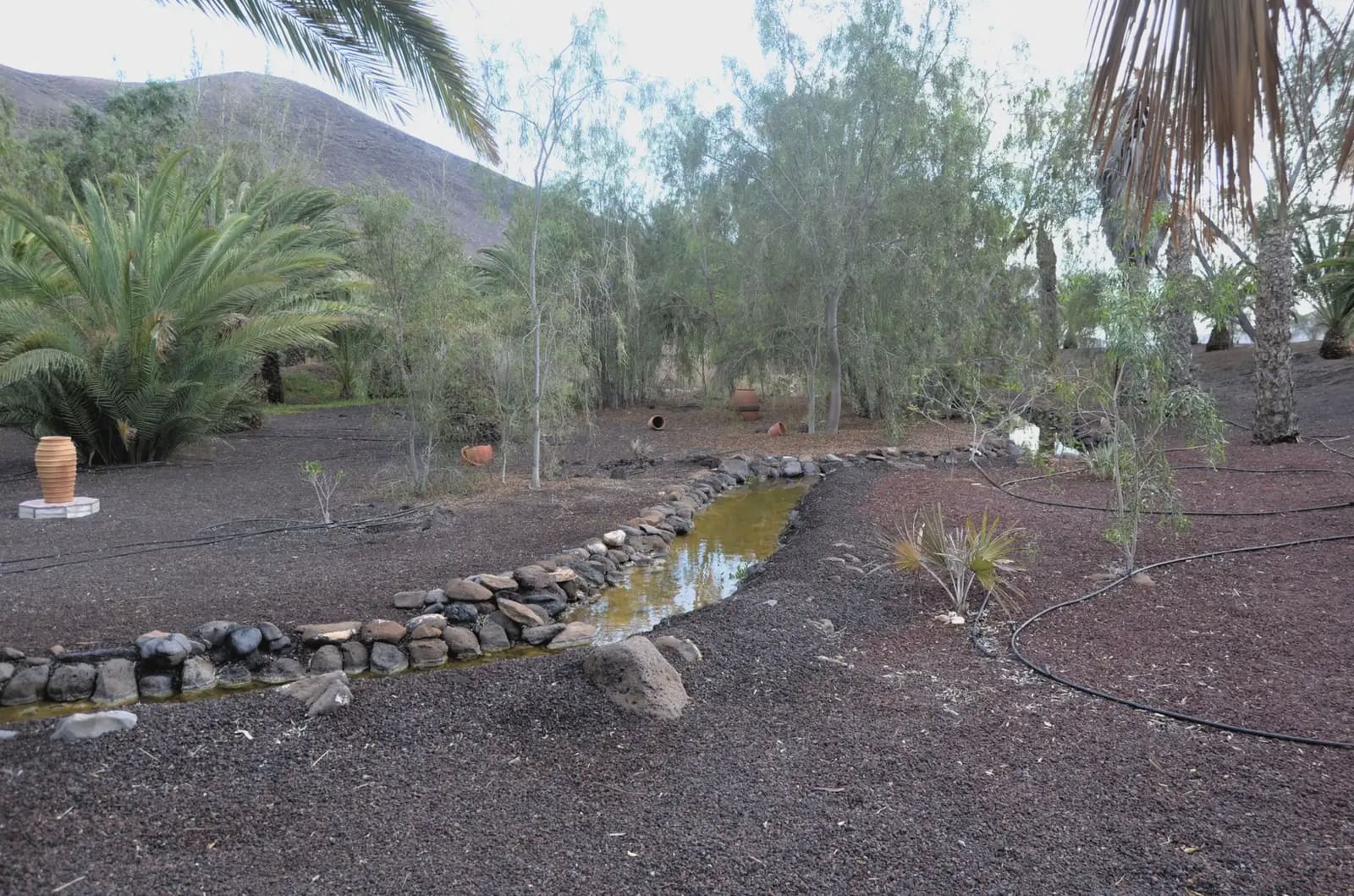 5 soveværelse Finca/Landehus til salg i Pajara med swimmingpool garage - € 1.299.000 (Ref: 9759327)