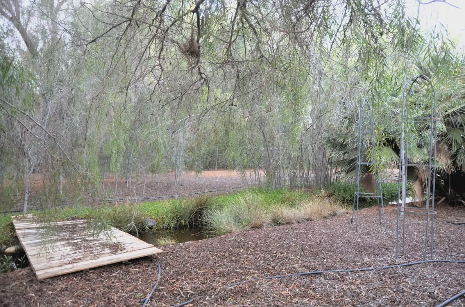 5 soveværelse Finca/Landehus til salg i Pajara med swimmingpool garage - € 1.299.000 (Ref: 9759327)