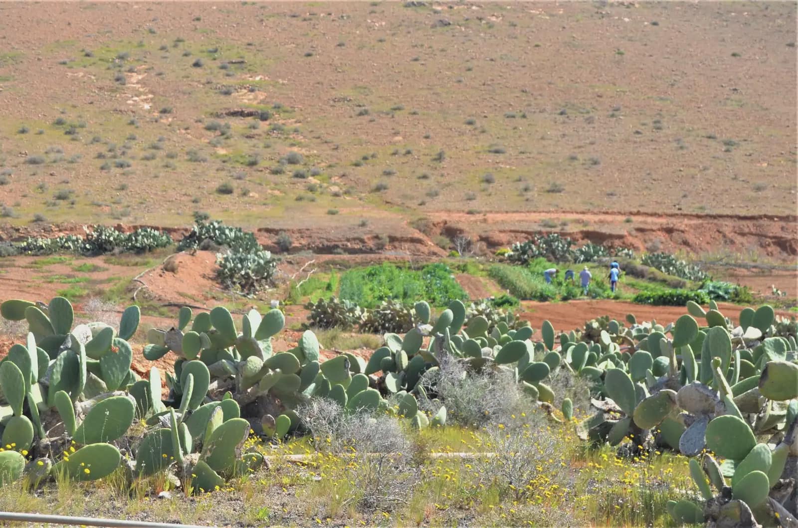 Finca/Casa di Campagna in vendita in Antigua - 500.000 € (Rif: 9759329)