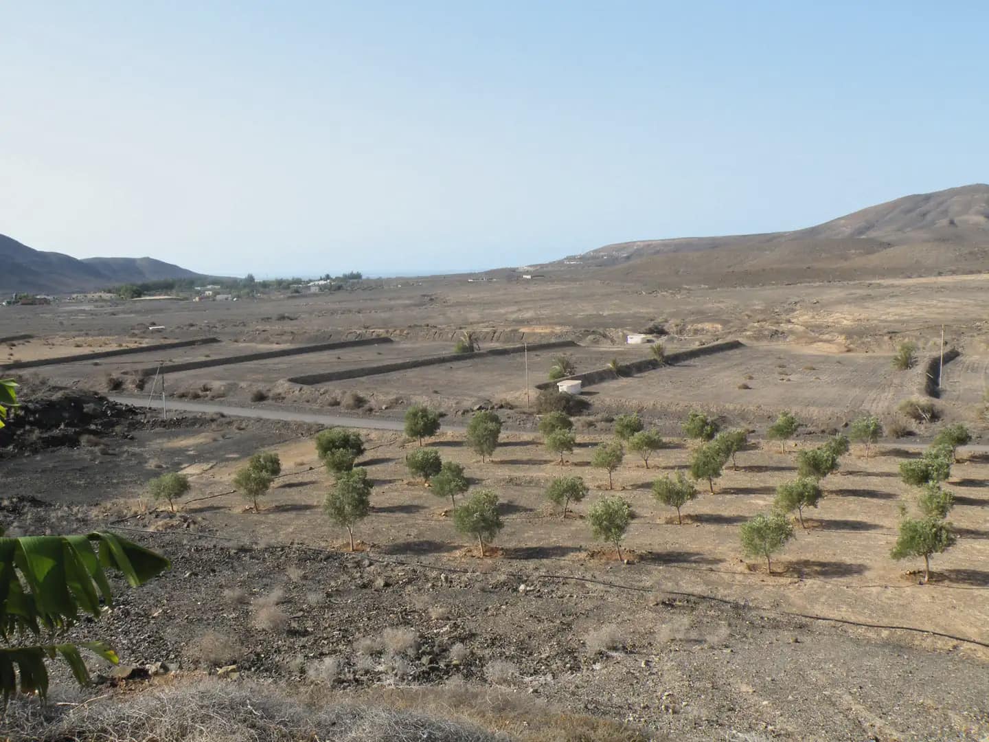 3 soverom Villa til salgs i Tuineje med svømmebasseng garasje - € 830 000 (Ref: 9759344)