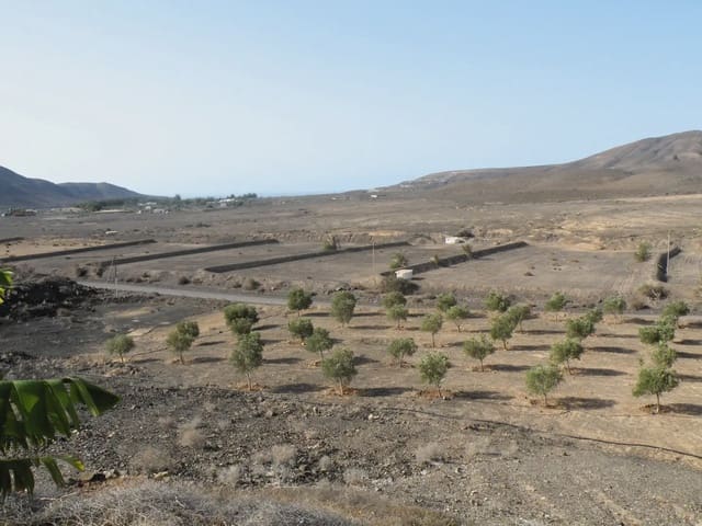 3 soverom Villa til salgs i Tuineje med svømmebasseng garasje - € 830 000 (Ref: 9759344)