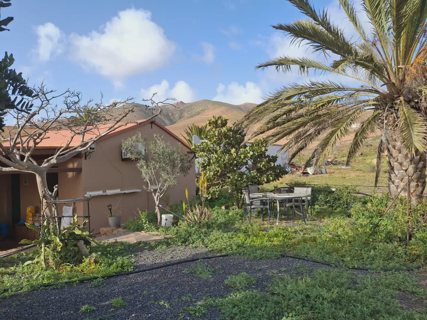 Finca/Landehus til salg i Pajara - € 990.000 (Ref: 9759365)