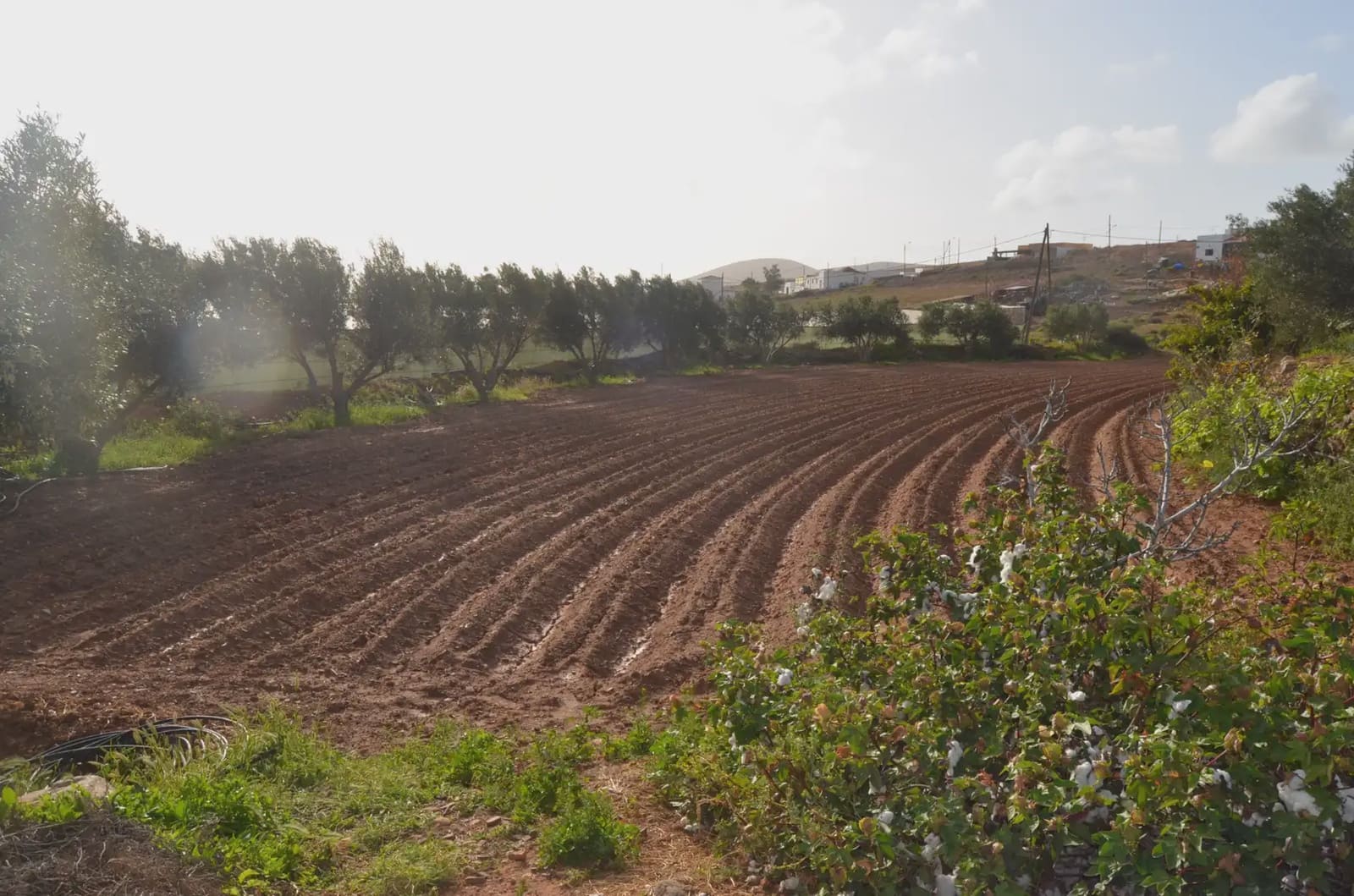 Finca/Landehus til salg i Pajara - € 990.000 (Ref: 9759365)