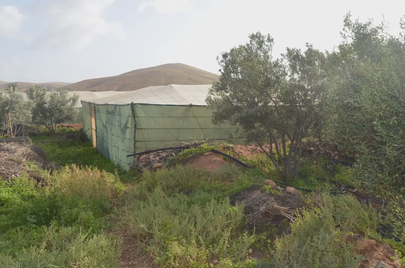 Finca/Landehus til salg i Pajara - € 990.000 (Ref: 9759365)