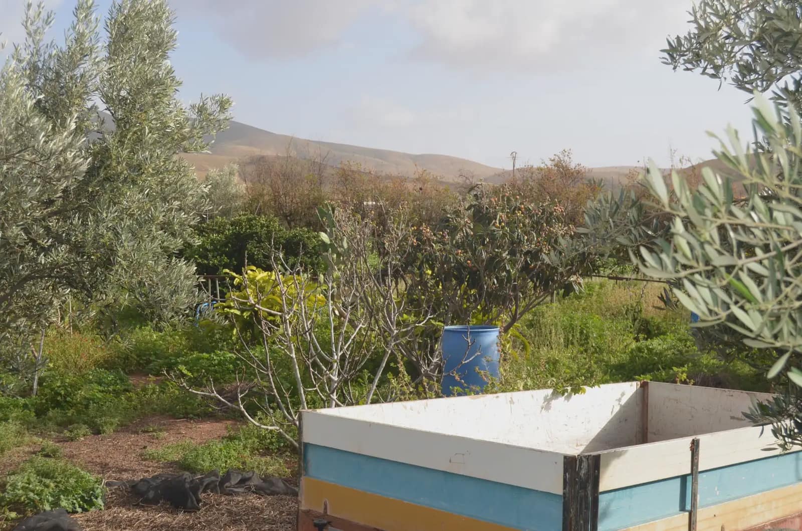 Finca/Landehus til salg i Pajara - € 990.000 (Ref: 9759365)