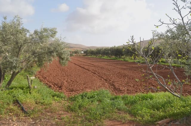 Finca/Landehus til salg i Pájara - € 990.000 (Ref: 9759365)