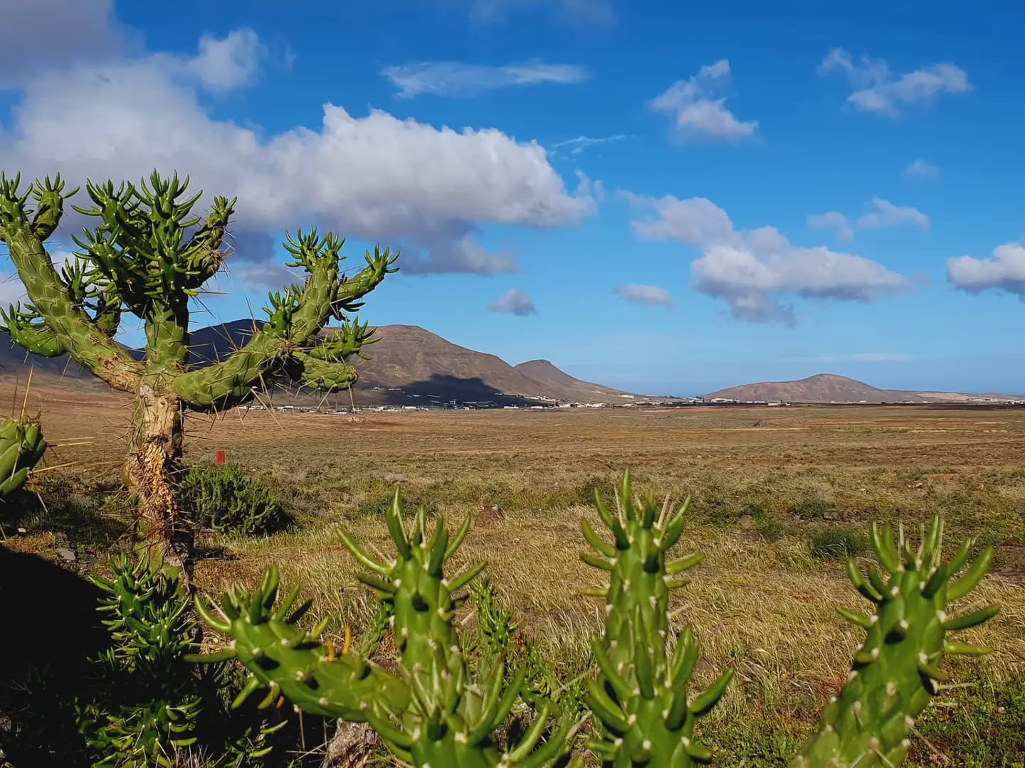 3 soveværelse Finca/Landehus til salg i Puerto del Rosario med garage - € 240.000 (Ref: 9759368)