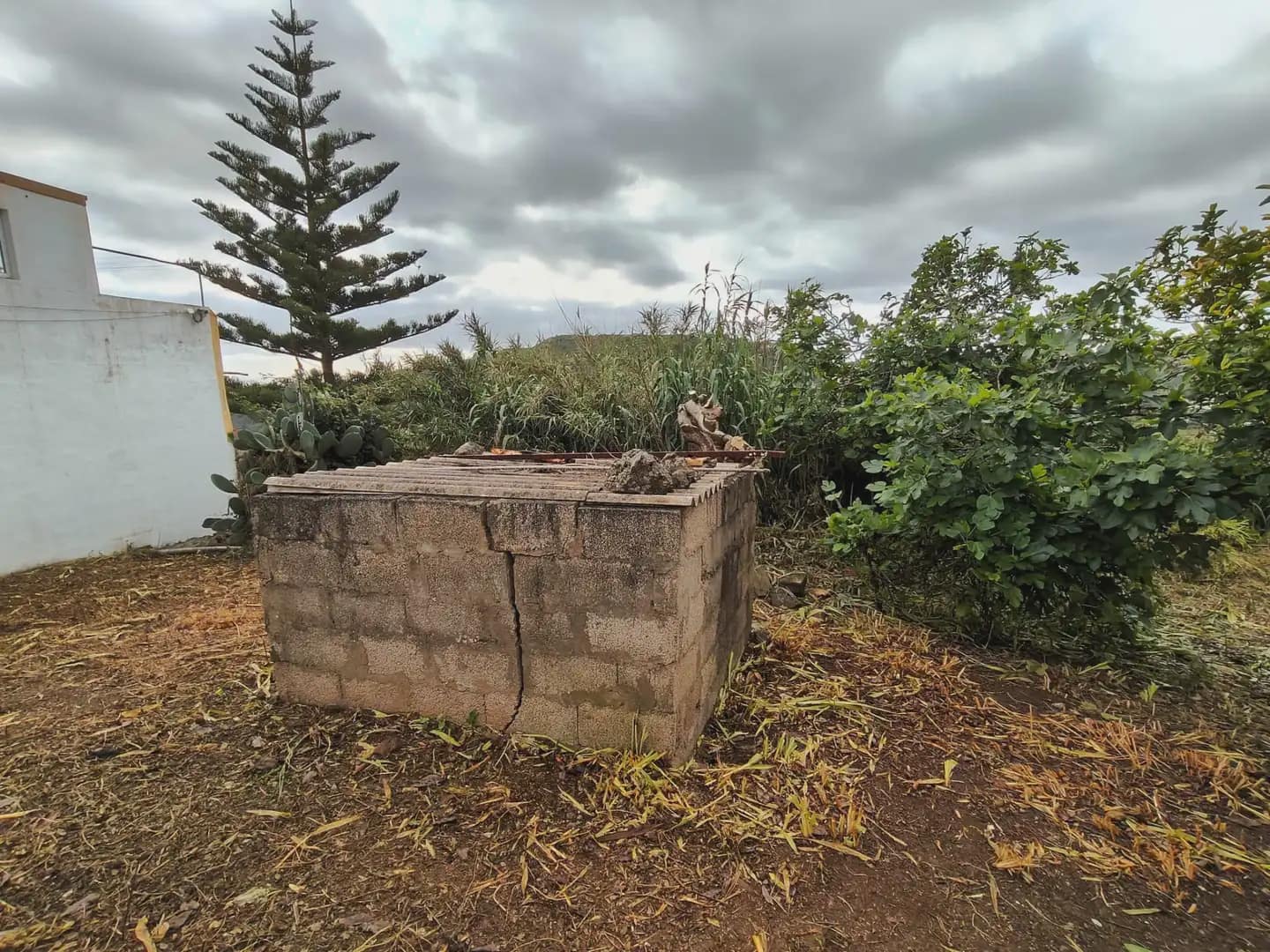 2 Zimmer Finca/Landgut zu verkaufen in Arucas - 180.000 € (Ref: 9866106)