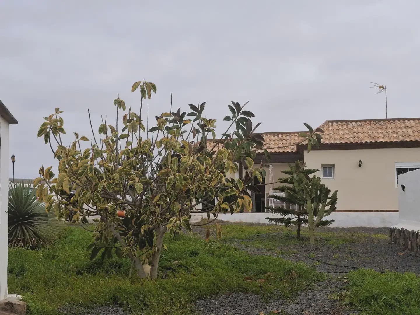 3 sypialnia Willa na sprzedaż w La Oliva z basenem - 750 000 € (Ref: 9948717)