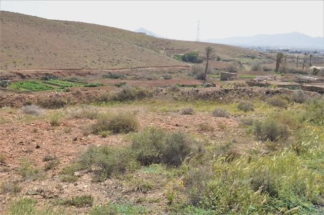 Finca/Casa Rural en Antigua en venta - 500.000 € (Ref: 9948734)