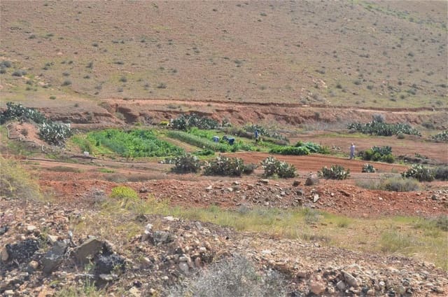 Finca/Casa Rural en Antigua en venta - 500.000 € (Ref: 9948734)