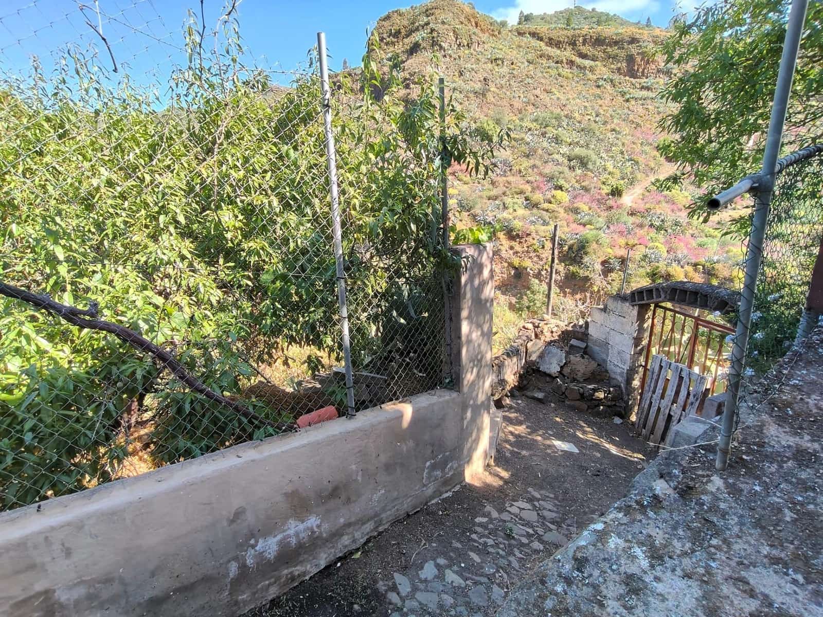 3 sypialnia Finka/Dom wiejski na sprzedaż w Valsequillo - 212 000 € (Ref: 9954284)