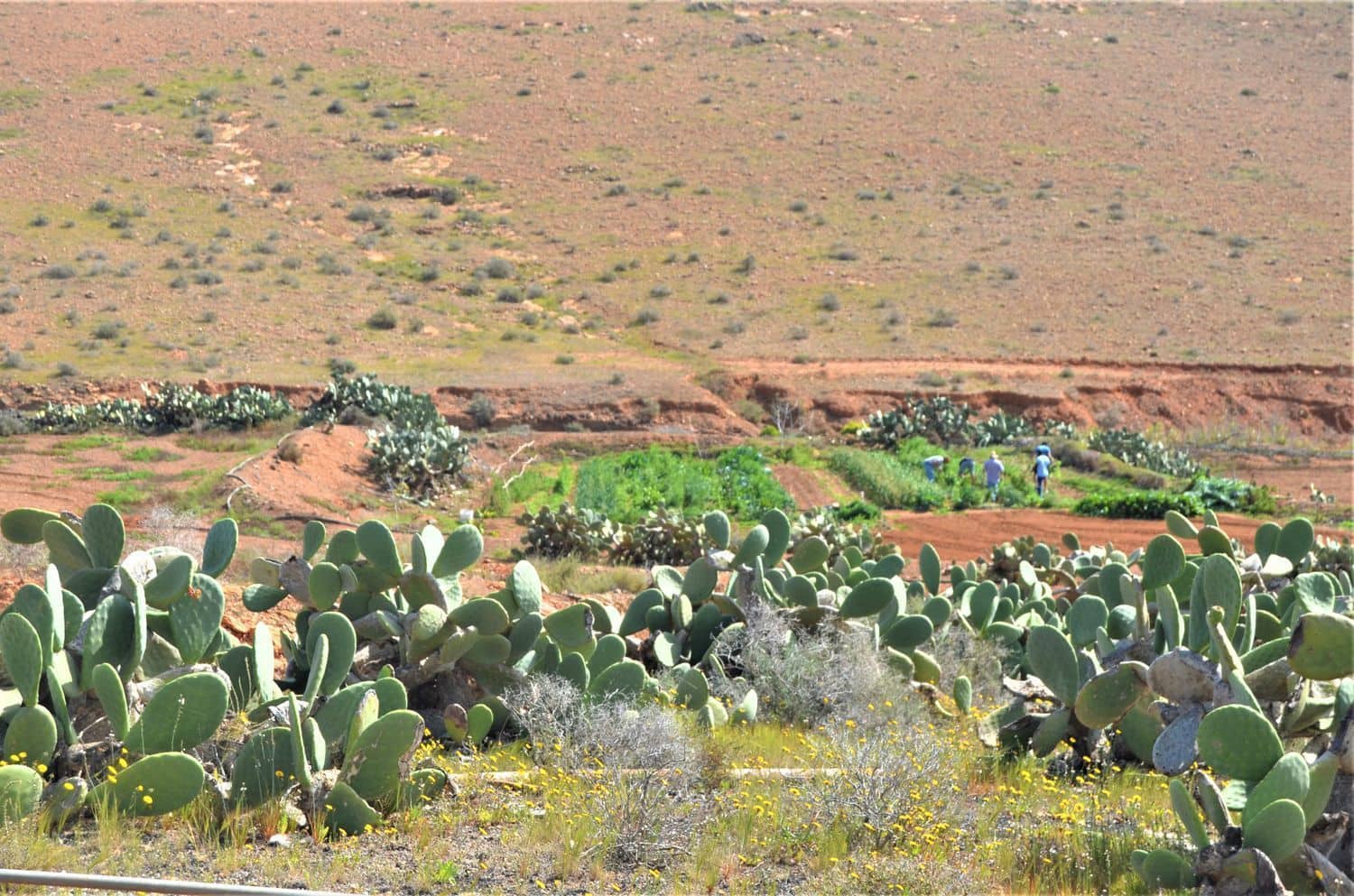 Grunde uden byggetilladelser til salg i Antigua - € 500.000 (Ref: 9970660)