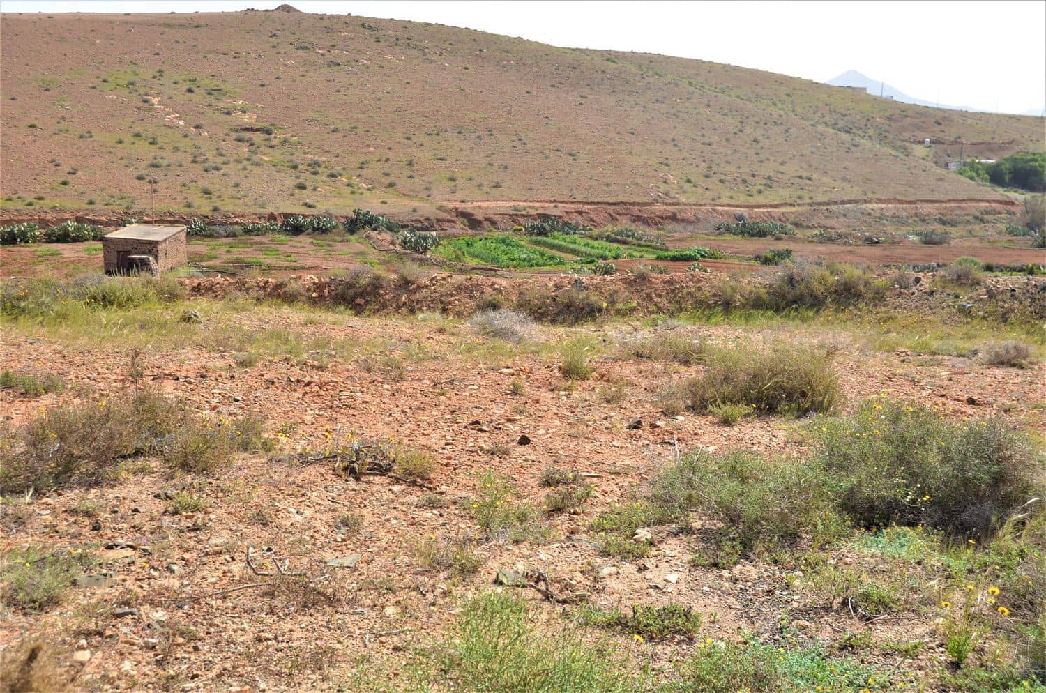Grunde uden byggetilladelser til salg i Antigua - € 500.000 (Ref: 9970660)
