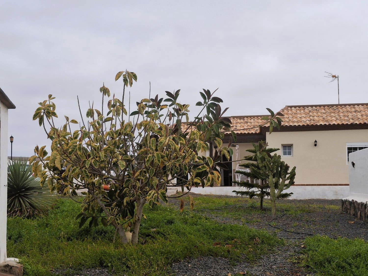 3 bedroom Villa for sale in La Oliva with pool - € 750,000 (Ref: 9970674)