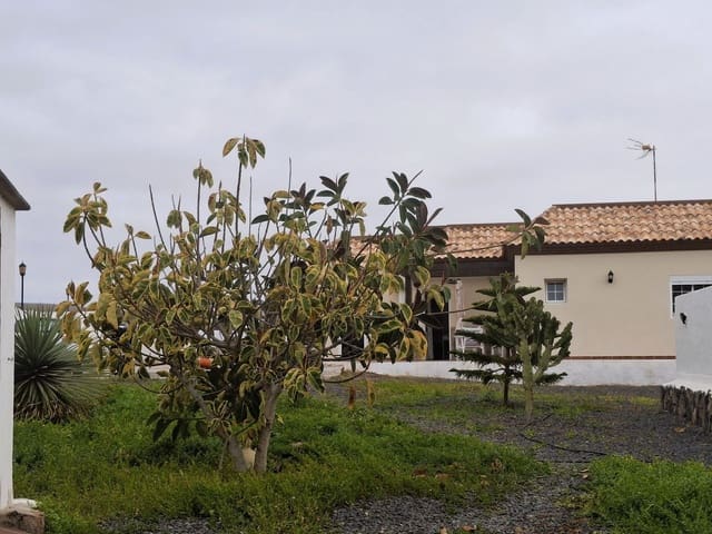 3 soveværelse Villa til salg i La Oliva med swimmingpool - € 750.000 (Ref: 9970674)