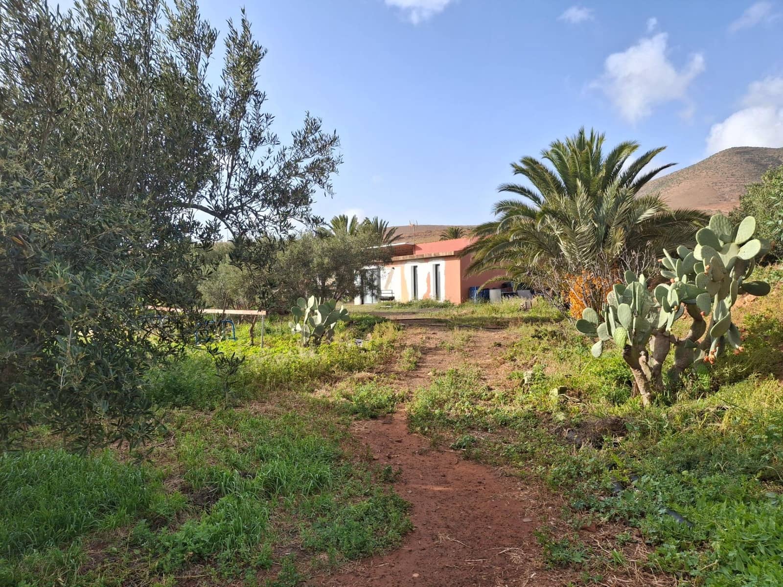 3 soverom Finca/Herregård til salgs i Pajara - € 990 000 (Ref: 9970680)