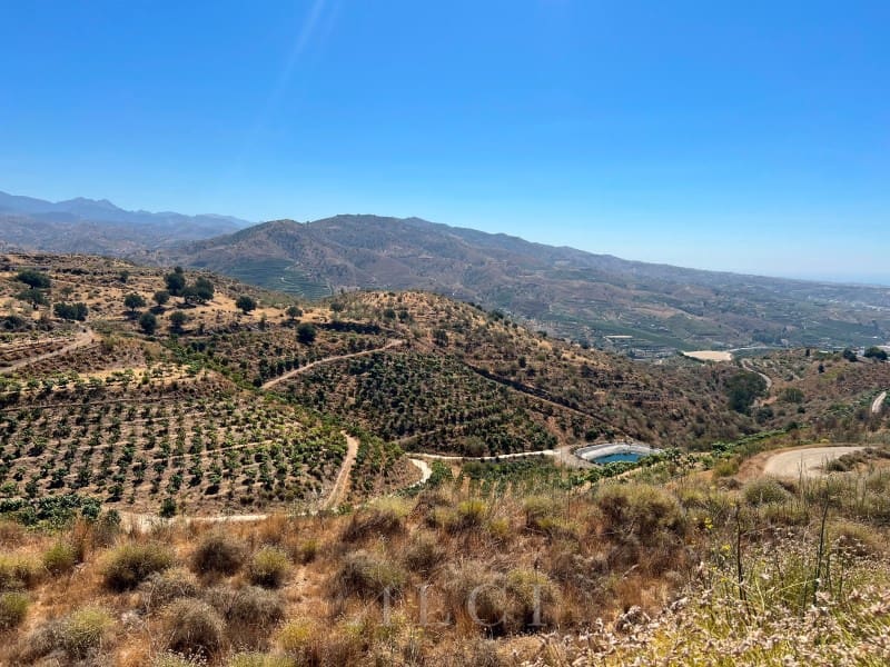 Finca/Landehus til salg i Velez-Malaga - € 446.000 (Ref: 10008858)