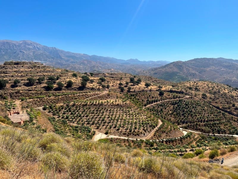 Finca/Landehus til salg i Velez-Malaga - € 446.000 (Ref: 10008858)