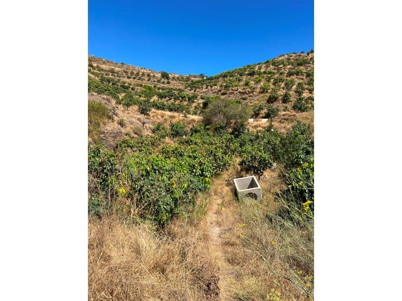 Finca/Landehus til salg i Velez-Malaga - € 446.000 (Ref: 10008858)
