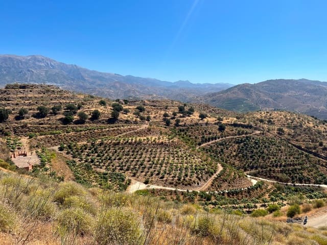 Finca/Casa Rural en Vélez-Málaga en venta - 446.000 € (Ref: 10008858)