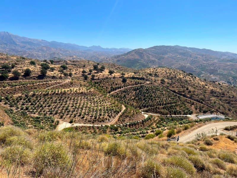 Finca/Landehus til salg i Velez-Malaga - € 446.000 (Ref: 10008858)