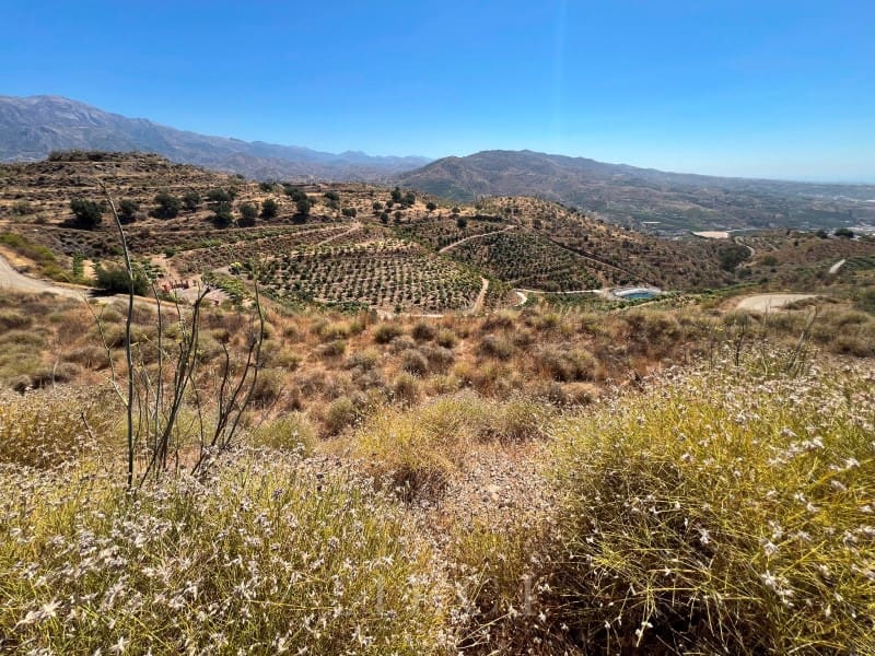 Finca/Landehus til salg i Velez-Malaga - € 446.000 (Ref: 10008858)