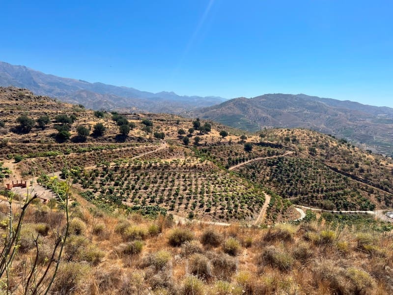 Finca/Landehus til salg i Velez-Malaga - € 446.000 (Ref: 10008858)
