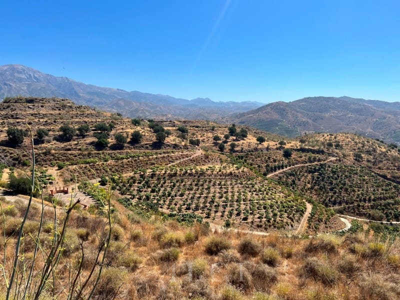 Finca/Landehus til salg i Velez-Malaga - € 446.000 (Ref: 10008858)