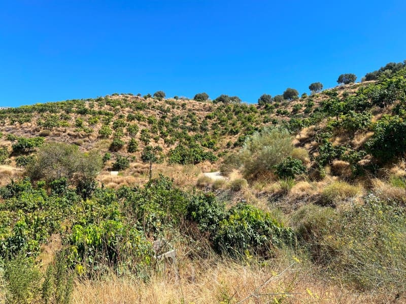 Finca/Landehus til salg i Velez-Malaga - € 446.000 (Ref: 10008858)
