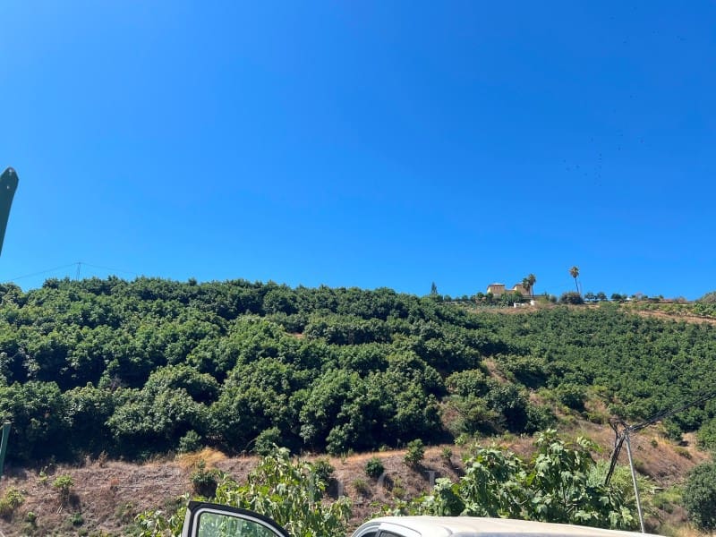 2 camera da letto Finca/Casa di Campagna in vendita in Benamocarra con piscina - 466.500 € (Rif: 10008860)