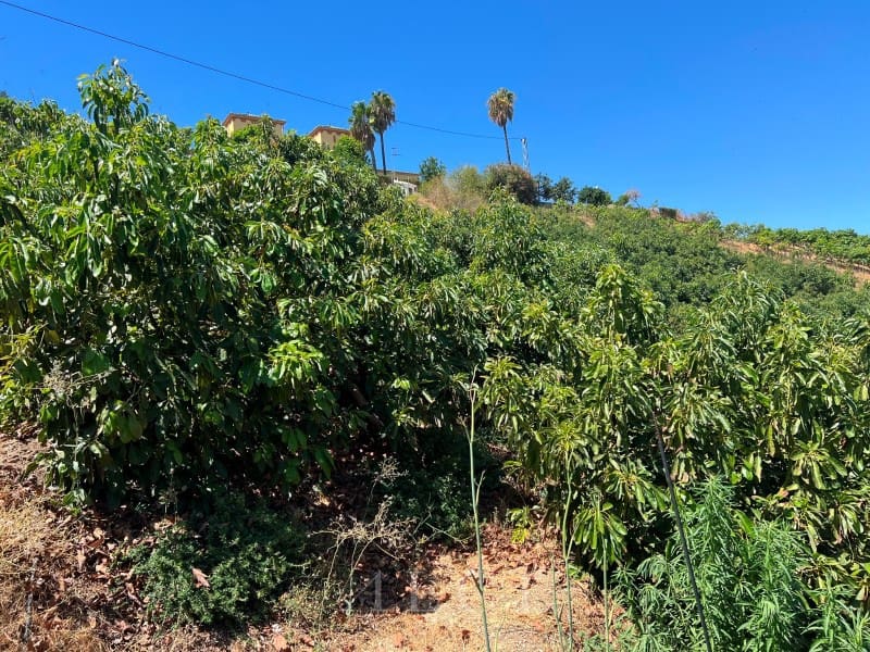2 camera da letto Finca/Casa di Campagna in vendita in Benamocarra con piscina - 466.500 € (Rif: 10008860)