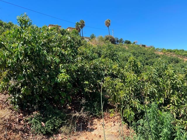 2 camera da letto Finca/Casa di Campagna in vendita in Benamocarra con piscina - 466.500 € (Rif: 10008860)
