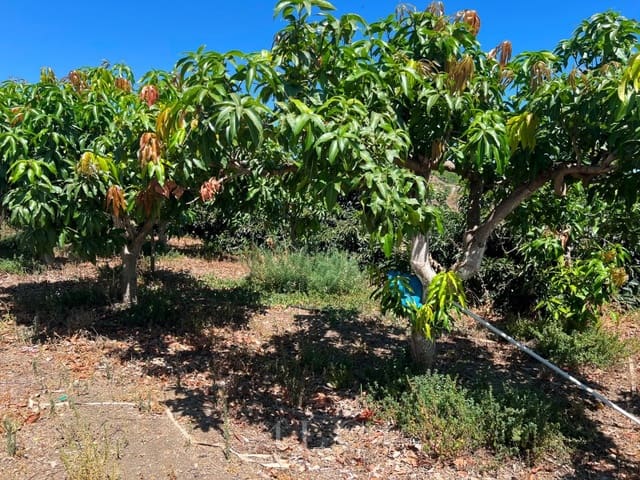 2 camera da letto Finca/Casa di Campagna in vendita in Benamocarra con piscina - 466.500 € (Rif: 10008860)