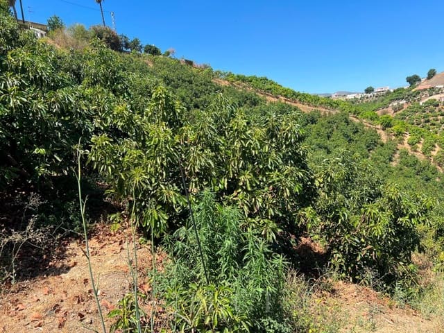 2 camera da letto Finca/Casa di Campagna in vendita in Benamocarra con piscina - 466.500 € (Rif: 10008860)